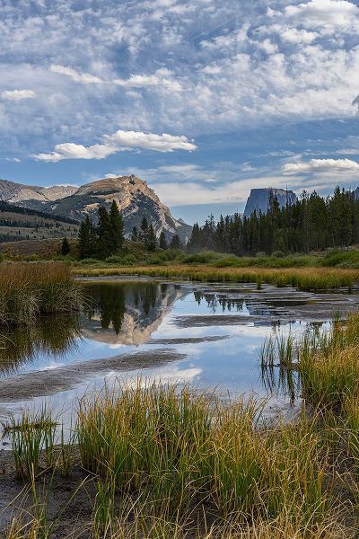 Garber, Howie 아티스트의 USA-Wyoming-White Rock Mountain and Squaretop Peak above Green River wetland-Wind River Mountains작품입니다.